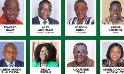 Meet the 17 NDC Members Who Have Lost Their Seats